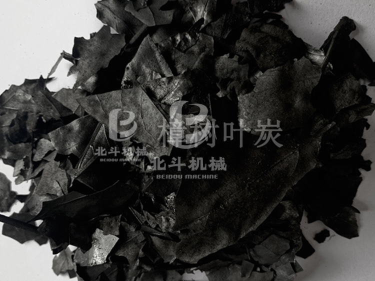 樟樹(shù)葉.jpg